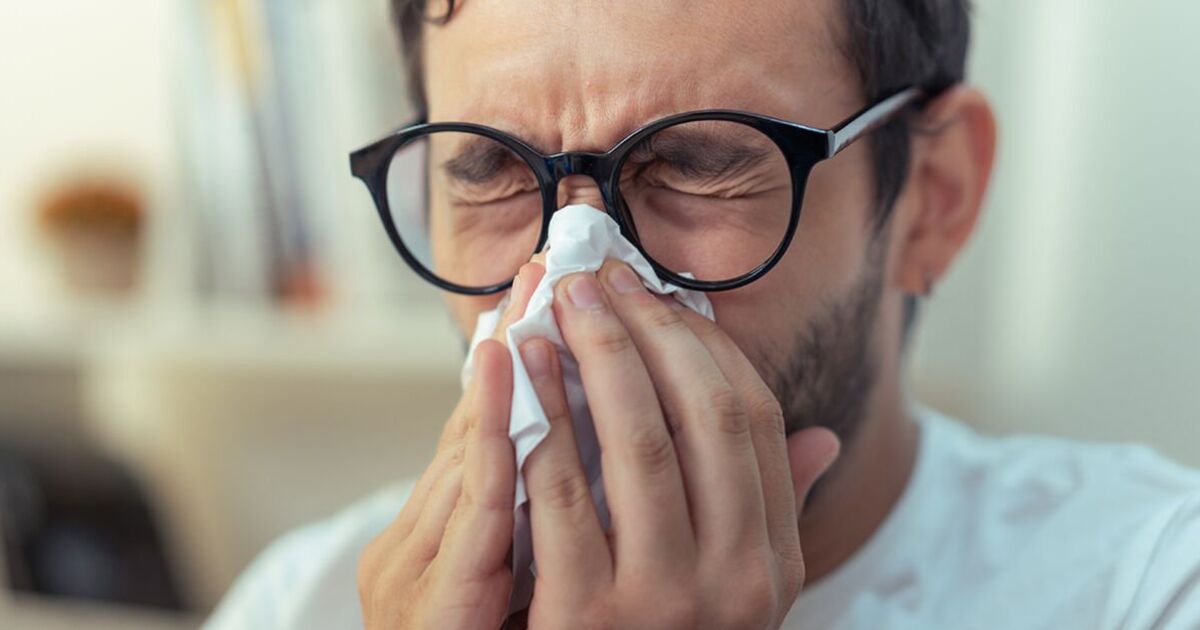 'I'm a hay fever expert - this trick will stop you from becoming a snotty mess in spring'