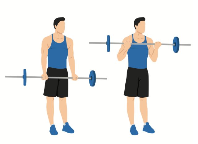 barbell bicep curl exercise, concept of strength workouts for men to build bigger arms