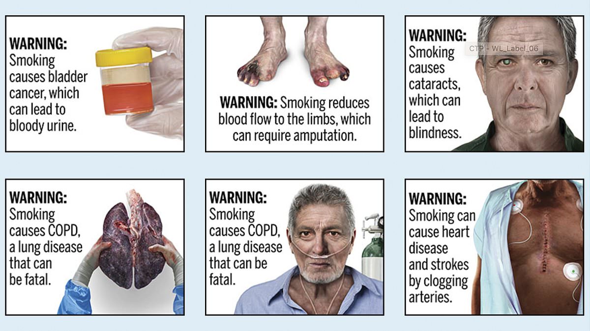 Amputated toes and rotting lungs: This is how cigarette packets could look in US in coming years - after court ruling