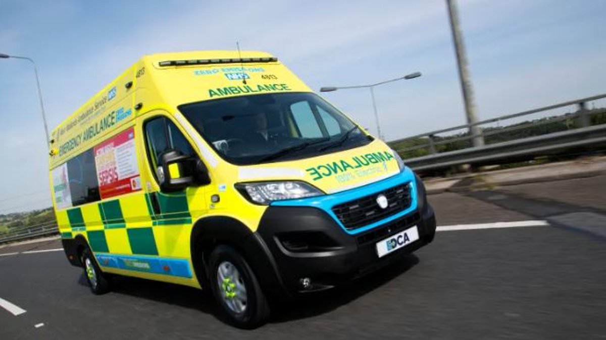 Fears for patients as NHS launches electric ambulances 'significantly limited' by their range and recharge time