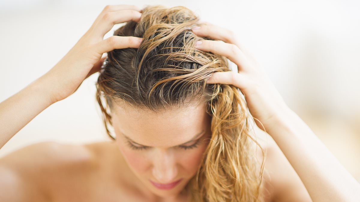 Granny WAS right! From bald patches to RINGWORM - experts reveal why you should never go to bed with wet hair