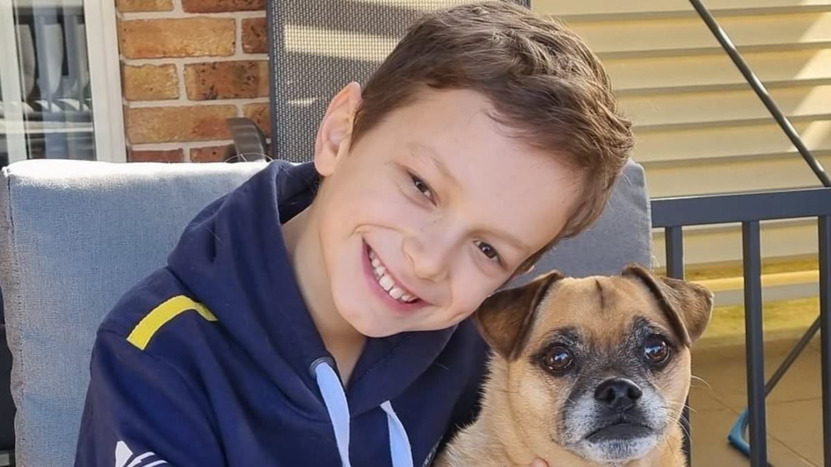 Harry Sammut's family face a crippling bill to get him to the US for treatment not available in Australia for his rare disease - as CEO says kids regularly die here 'because of paperwork'