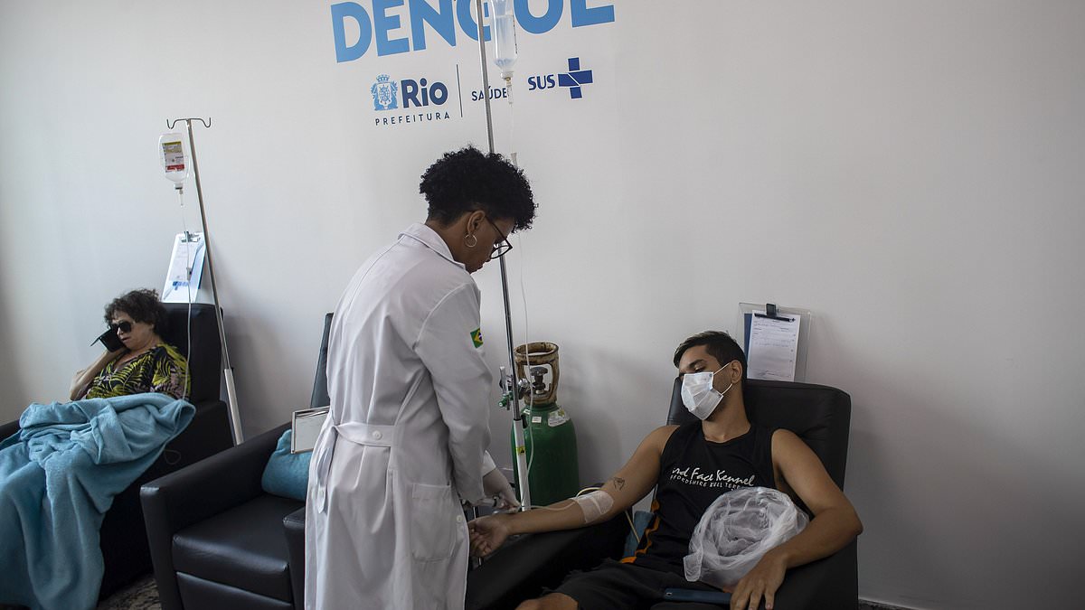 How Brazil's ferocious dengue fever outbreak is a warning to the world: Patients motionless on waiting room floors, wailing in agony from 'bone breaking disease'