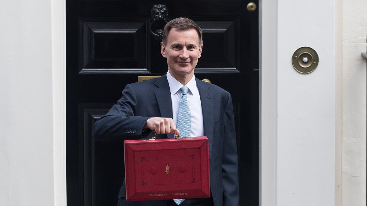 Jeremy Hunt announces new tax on vapes in clampdown that could make e-cigs up to £3 more expensive - but critics 'slam scientifically and economically illiterate' levy