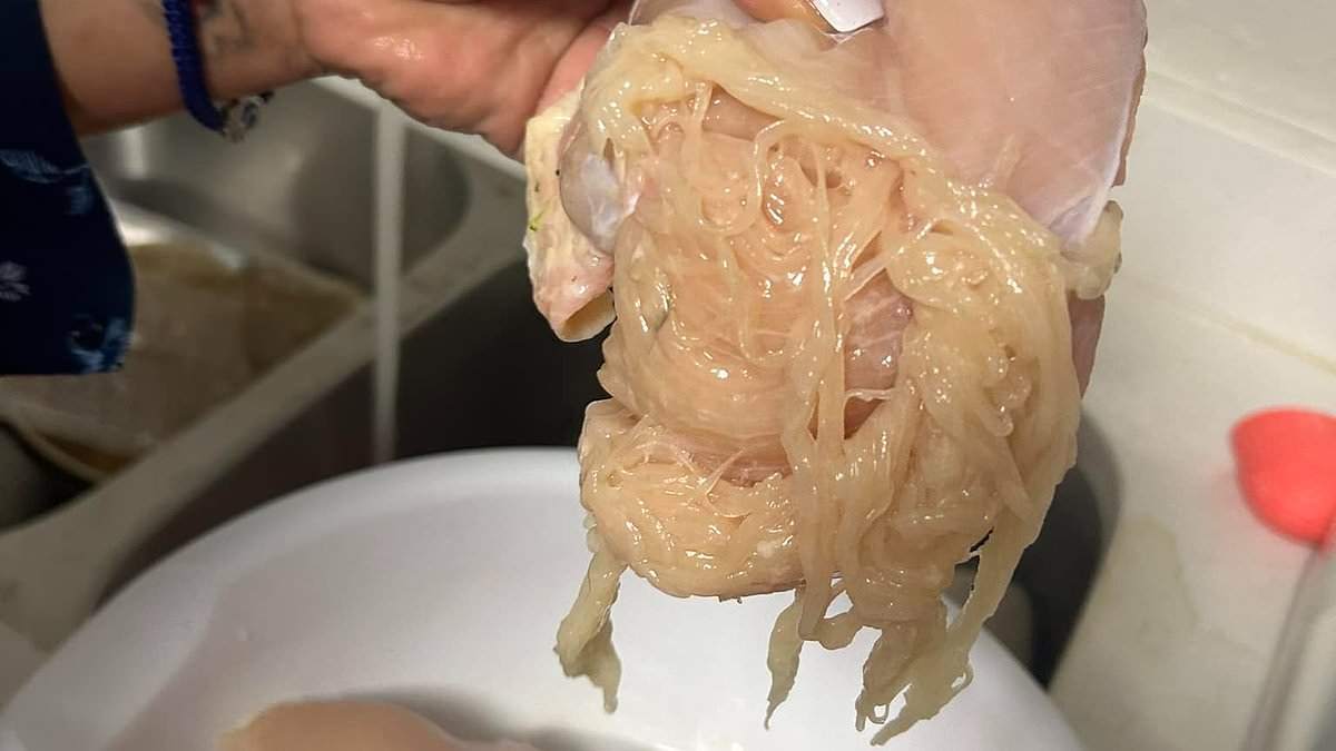 People are disgusted after learning what 'spaghetti chicken' is - after mom shares grim pictures of stringy meat she bought from Aldi