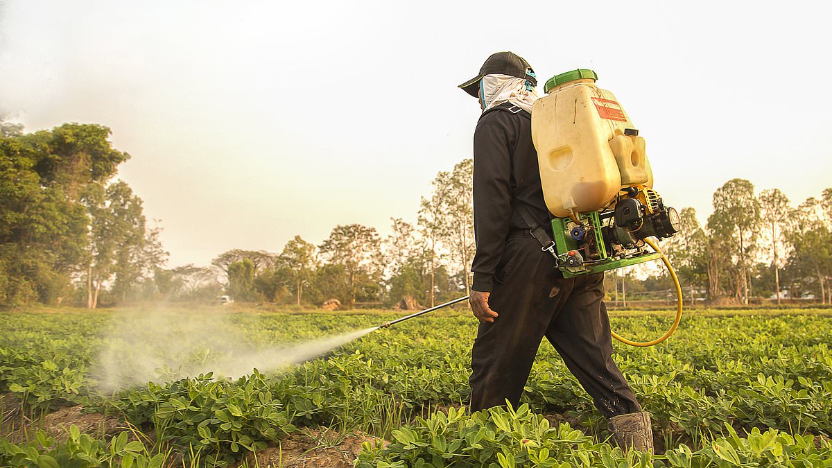 Strawberries, kale and collard greens make government's 'dirty dozen' list of foods that are teaming with cancer-causing pesticides - these are the products you MUST wash before eating