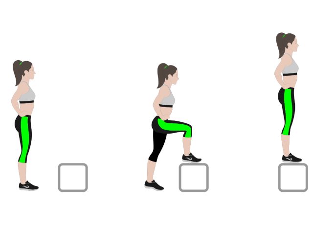 illustration of step-ups, concept of 10-minute workouts to melt belly fat