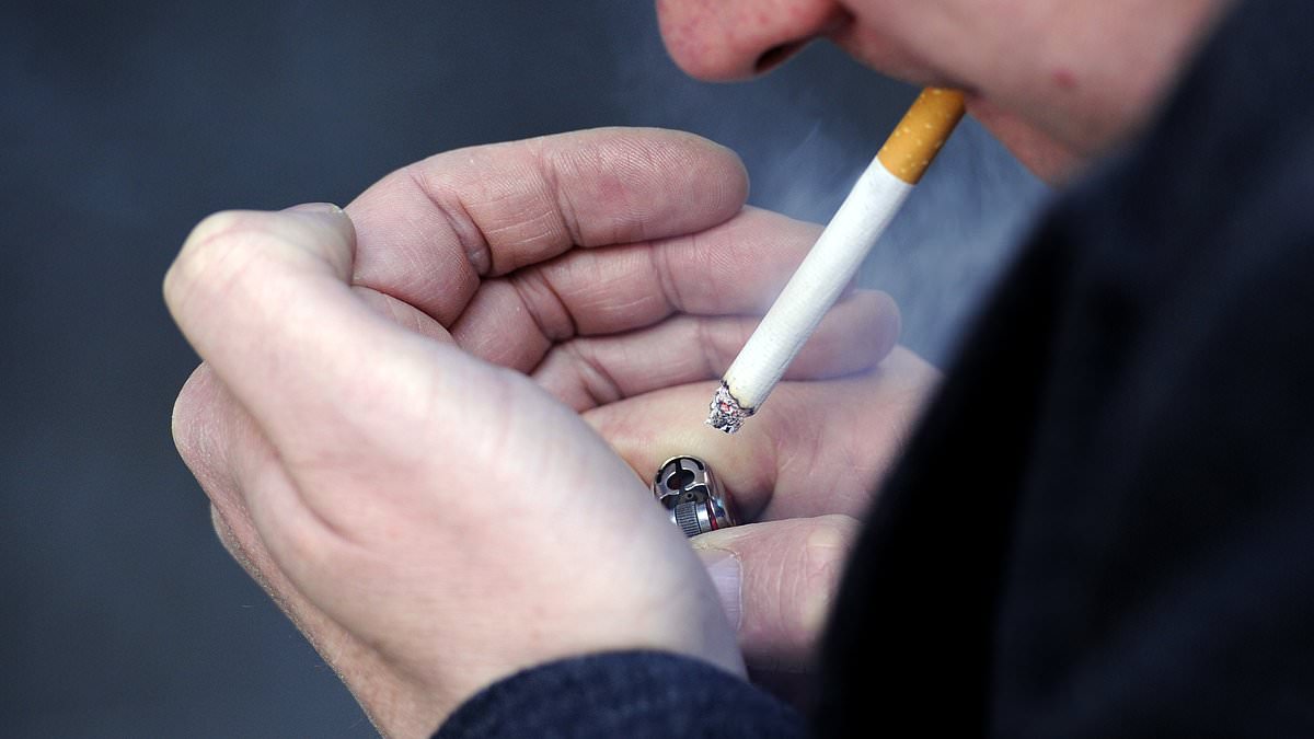 The irony of smoking to stay thin: Smoking INCREASES belly fat, scientists find