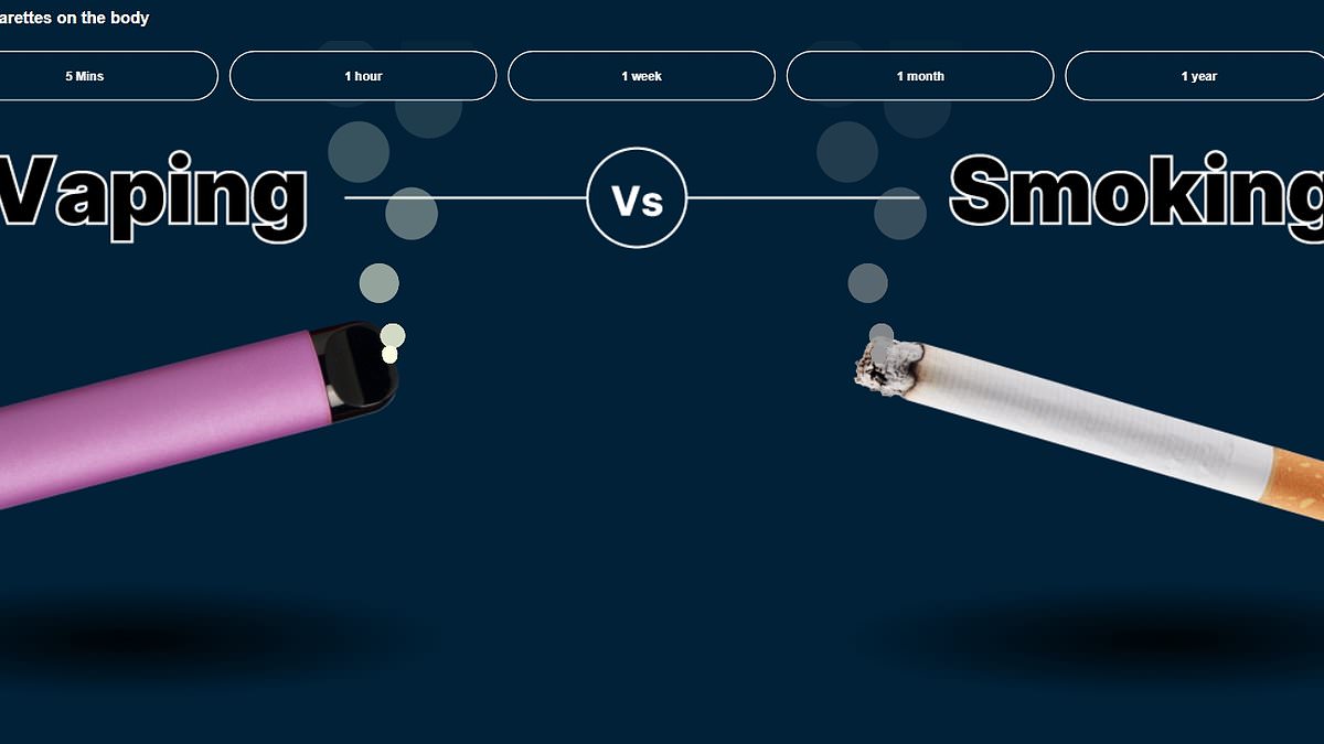 The sinister truth about vaping - and why habit loved by teens isn't as safe as you may think: Interactive graphic reveals how e-cigarettes affect your body over time after shock study sparked cancer fears