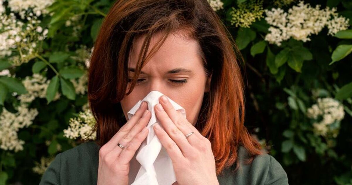 UK's hayfever severity levels ranked for 2024 as scientists give annual forecast