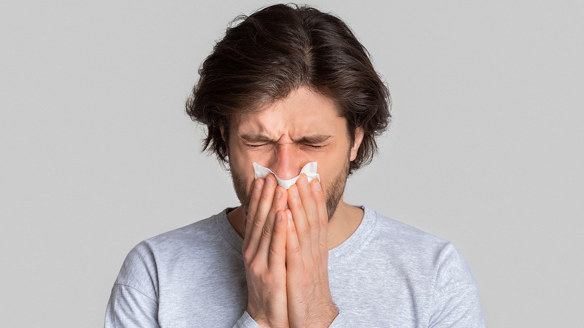 Would you fire a stranger's snot up your nose to unblock it? That's the revolutionary new treatment that could herald a cure for congestion and hay fever...