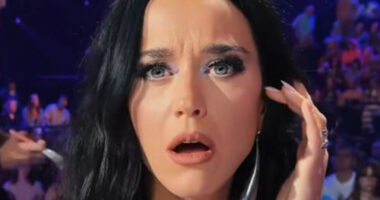 American Idol judge Katy Perry jokes she’s ‘that really annoying girl’ as fans praise her sense of humor
