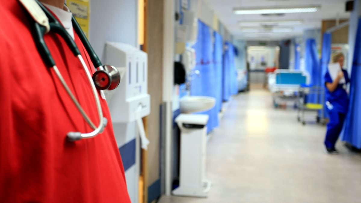 Dire A&E waits mean a QUARTER of patients at NHS's busiest hospitals face 12-hour delays for treatment... so how does your trust fare?