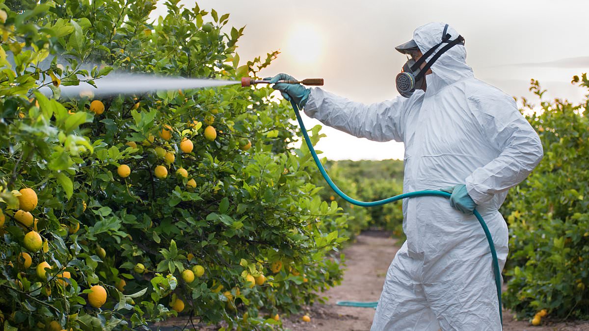 Pesticides found in up to HALF of childrens' apple juice bottles could lead to PARKINSONS, new study suggests