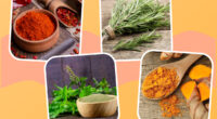 collage of healthy herbs and spices cayenne rosemary holy basil and turmeric on a designed background