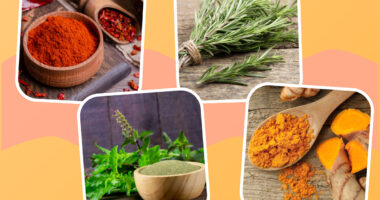 collage of healthy herbs and spices cayenne rosemary holy basil and turmeric on a designed background