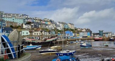 Brixham outbreak: 'Hundreds' fall ill in seaside town as probe launched