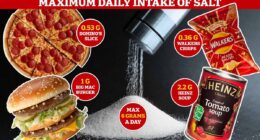 Eating too much salt blamed for 10,000 deaths across Europe EVERY day - and processed food is to blame say health officials