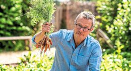 Forget five a day... you need to eat 30 plants a week! Here HUGH FEARNLEY-WHITTINGSTALL shows how to transform your body with recipes and a shopping list of 200 foods