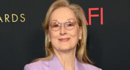 Meryl Streep Has Had Quite The Transformation