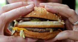 Obesity is now linked to 32 types of cancer and might be fuelling 40% of cases, shock study warns