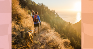 fit couple hiking on mountain trail with their dog during sunset