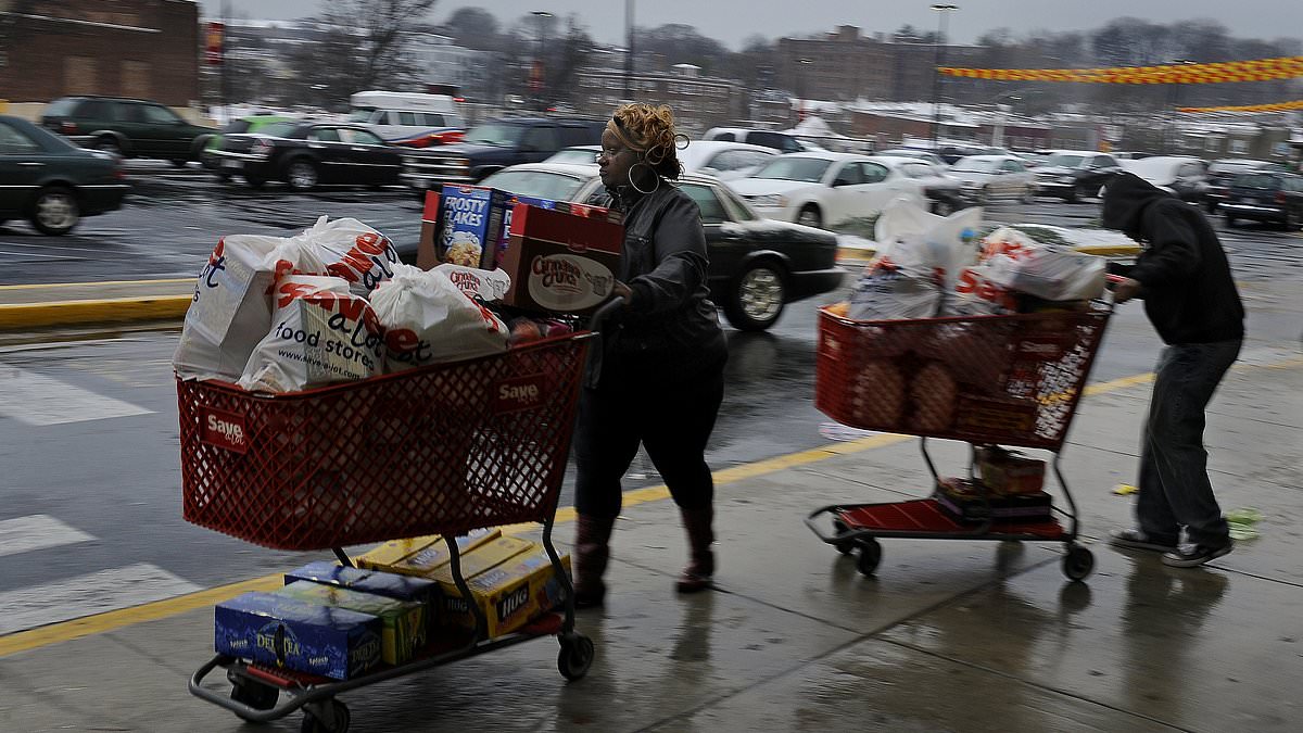 Shock study shows how 42M recipients spend their food stamps - and they're not buying broccoli