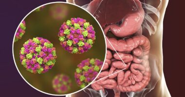 Warning of 'winter vomiting bug' outbreak... in May! Norovirus infections hit a five-year seasonal high as health chiefs urge public to stay off work for two days if suffering symptoms