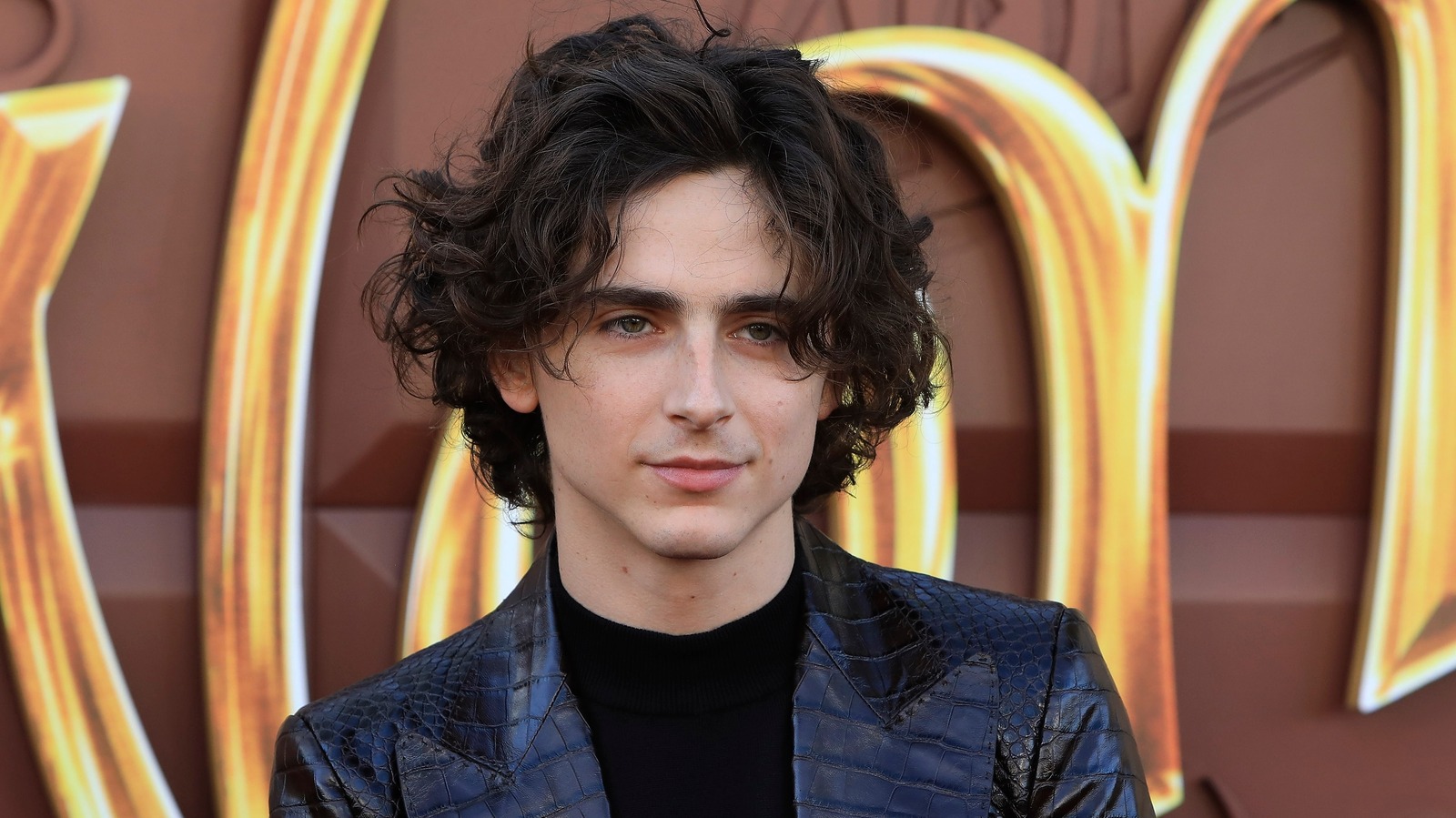 What Happened Between Timothée Chalamet And Selena Gomez?