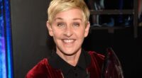 What The Cast Of Ellen Is Doing Today