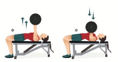 barbell bench press