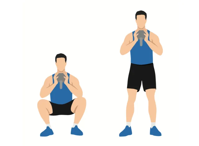 illustration of kettlebell goblet squat