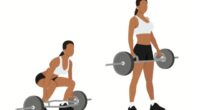 illustration of hex bar deadlift