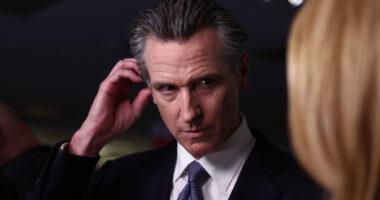 Celebs And Politicians Who Can't Stand Gavin Newsom