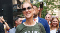 Celine Dion flashes smile in rare public outing in NYC after iconic singer opened up on Stiff Person Syndrome diagnosis