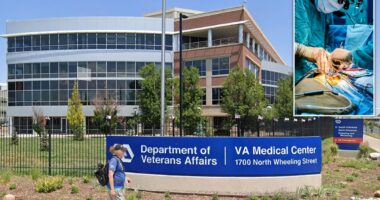 Colorado veterans hospital STOPPED heart surgeries for a year due to 'exodus' of surgeons pushed out by 'culture of fear'