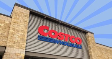 Costco's Super Popular Ice Cream Dessert Is Finally Back