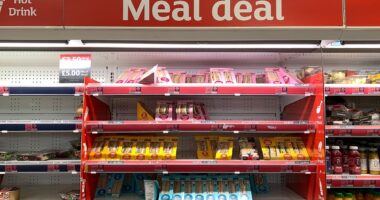 E-Coli scare: Do NOT eat these sandwiches from Asda, Boots, Morrisons, Sainsbury's, Co-op, Tesco, OneStop and Aldi, health bosses warn as they say current total of 211 cases will rise