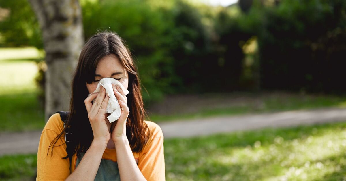 Hay fever alert as red warning issued for June: Here's what's behind latest surge