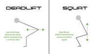 Squat vs deadlift: Which one is better in terms of muscle activation for the glutes
