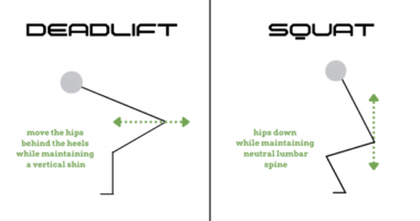 Squat vs deadlift: Which one is better in terms of muscle activation for the glutes