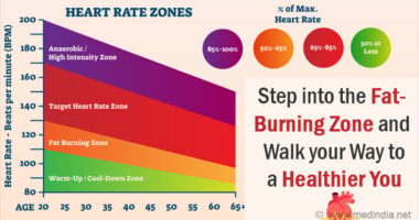 Why the Fat-Burning Zone Wins the Weight Loss Race
