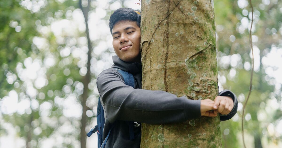 'Being near trees helps you live longer,' says former psychiatric doctor Tara Swart