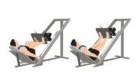 leg press