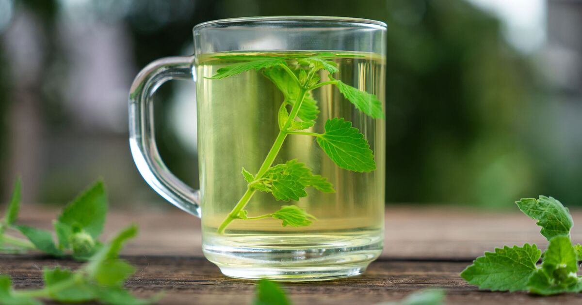 Cup of 'healing' herbal tea a day lessens stress and anxiety 'instantly'