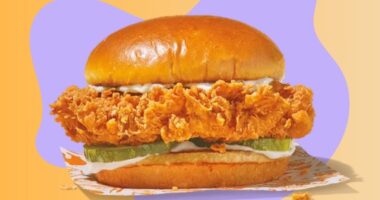 Every Popeyes Chicken Sandwich, Tasted & Ranked for 2024