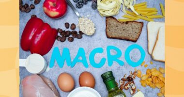 macronutrients concept