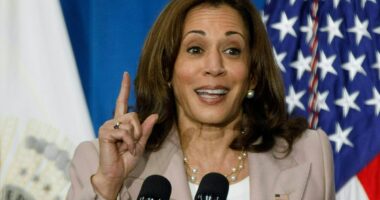 Is Kamala Harris' mental health shaky? The presidential hopeful's 'word salads' and inappropriate laughter could be symptoms of a little-known psychological disorder