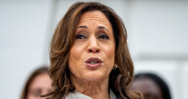 Kamala Harris' Most Controversial Outfits Of All Time