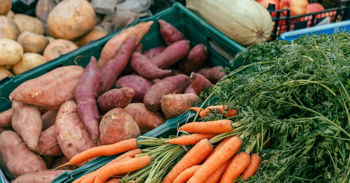 More land used for golf than food as experts warn of ‘disaster' for supermarket shelves